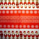 NW-157 Santa - 3-ply - Colourful Life - CS